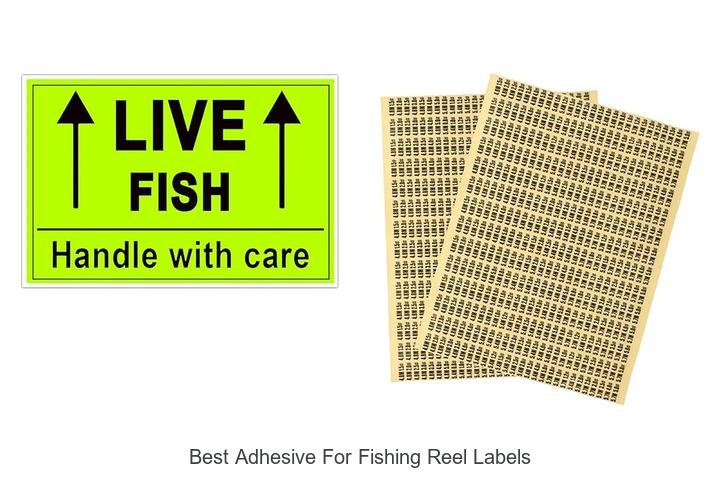 Discover the Best Adhesive for Reel Labels Now!