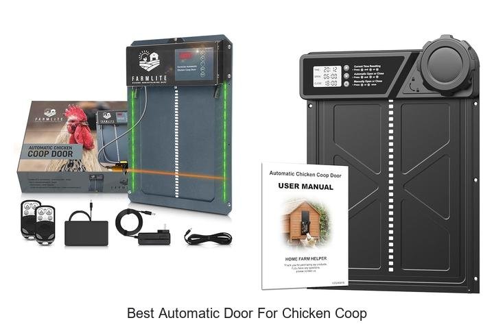 Top Picks for Best Automatic Door for Chicken Coop