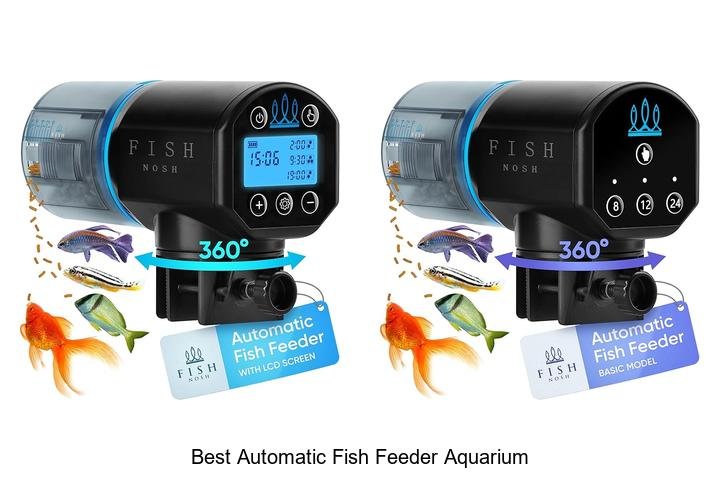 Discover the Best Automatic Fish Feeder for Aquariums!