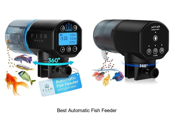 Top Automatic Fish Feeder Revealed – Don’t Miss Out!