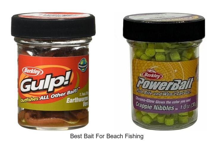Uncover the Best Bait for Beach Fishing Success!