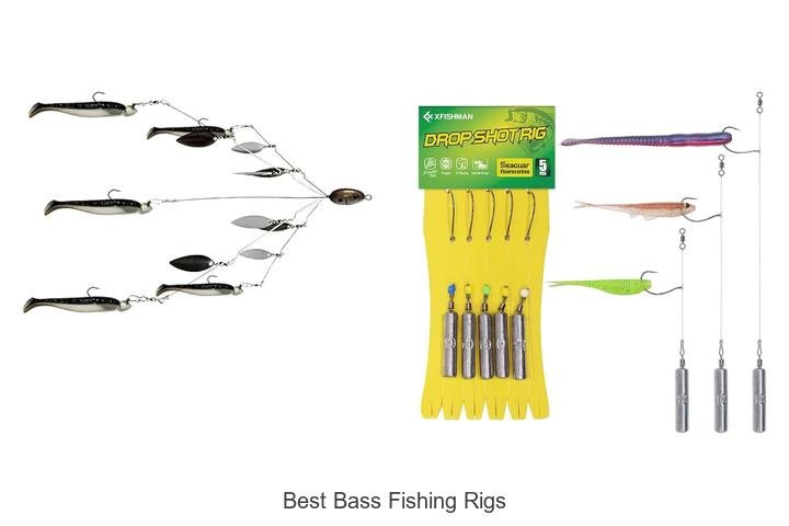 Ultimate Guide to Best Bass Fishing Rigs Revealed