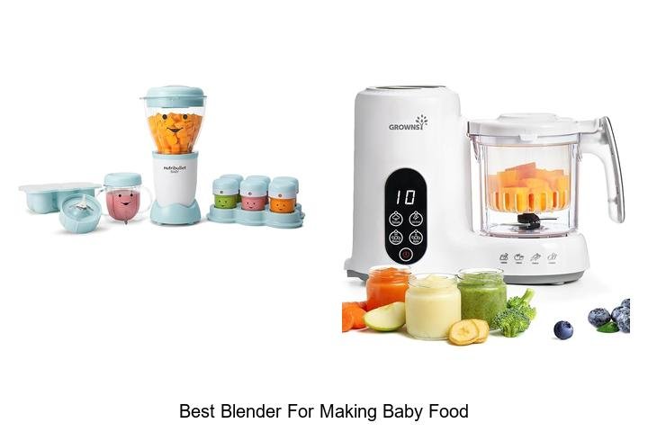 Ultimate Best Blender for Making Baby Food!