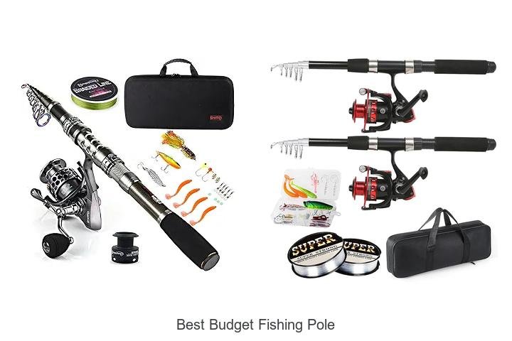 Discover the Best Budget Fishing Pole for Beginners!