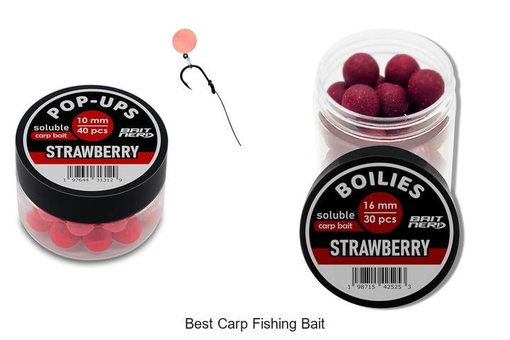 Discover the Ultimate Best Carp Fishing Bait Secret!