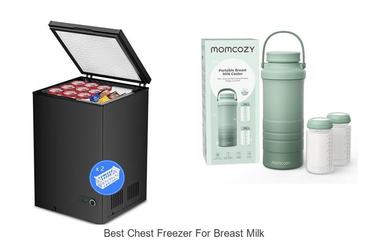 Top Picks: Best Chest Freezer for Breast Milk