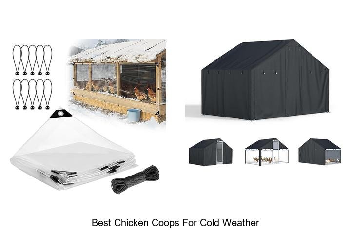 Top Chicken Coops for Cold Weather Comfort