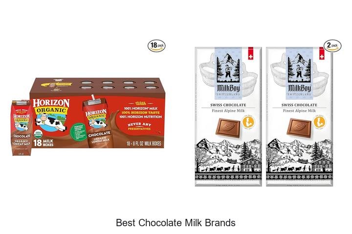 Top 10 Best Chocolate Milk Brands You Must Try!