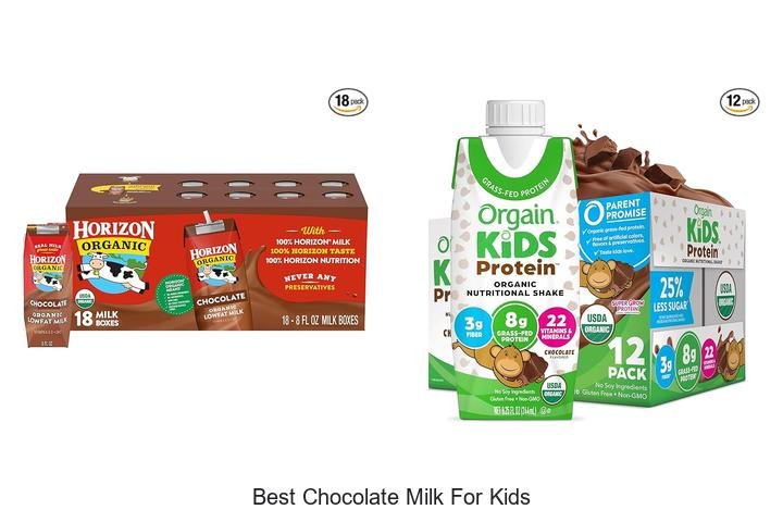 Top Picks: Best Chocolate Milk for Kids