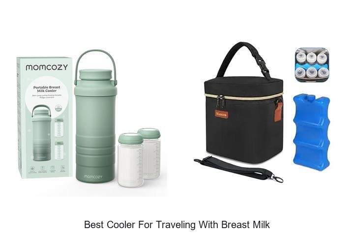 Top Cooler for Traveling with Breast Milk – Must See!