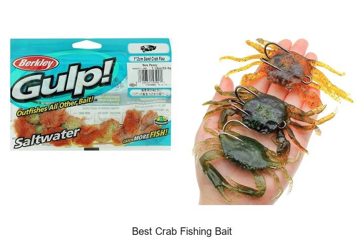 The Best Crab Fishing Bait You’re Not Using!