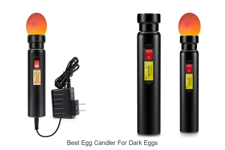 Discover the Best Egg Candler for Dark Eggs!