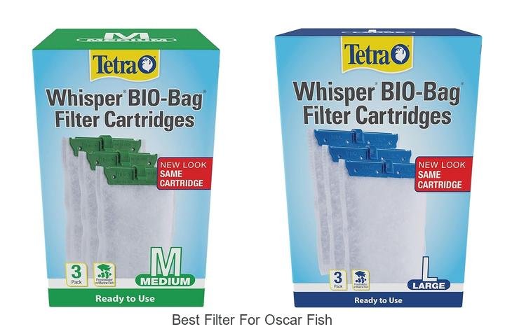 Ultimate Best Filter for Oscar Fish – Boost Tank Health!