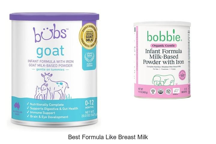 Discover the Best Formula Like Breast Milk for Babies