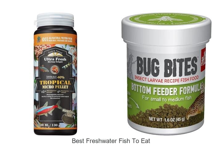 Top 5 Best Freshwater Fish to Eat: Delicious Picks!