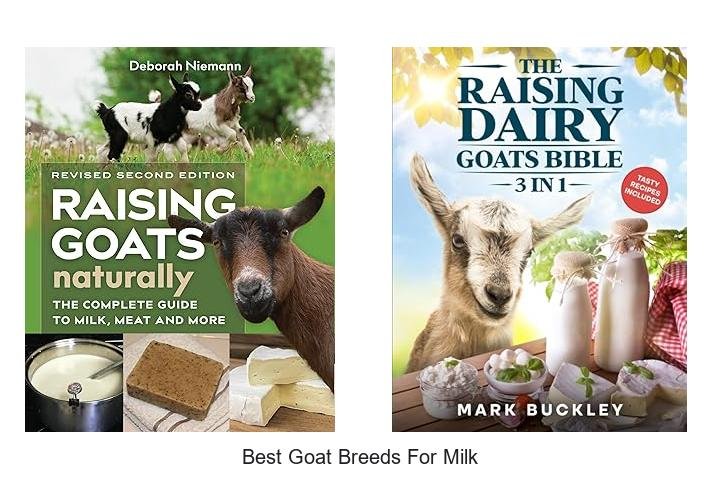 Discover the Best Goat Breeds for Milk Production!