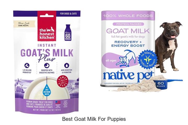 Top Choice for Puppies: Best Goat Milk Revealed!