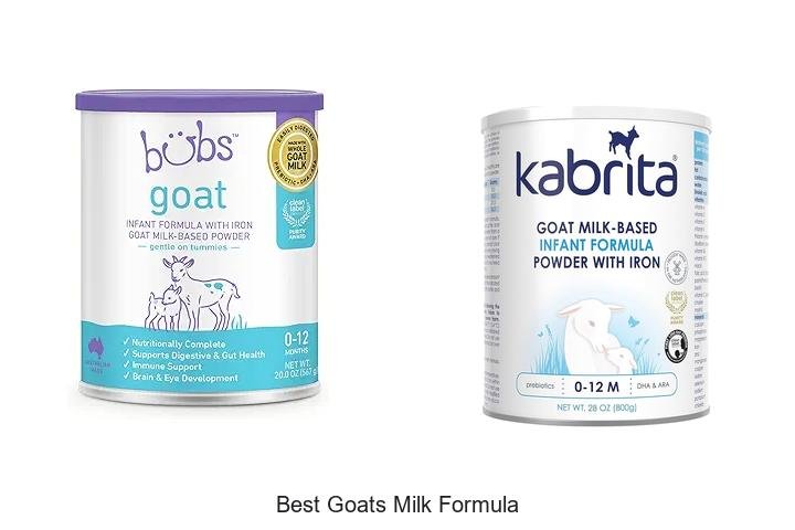 Discover the Best Goat’s Milk Formula for Babies