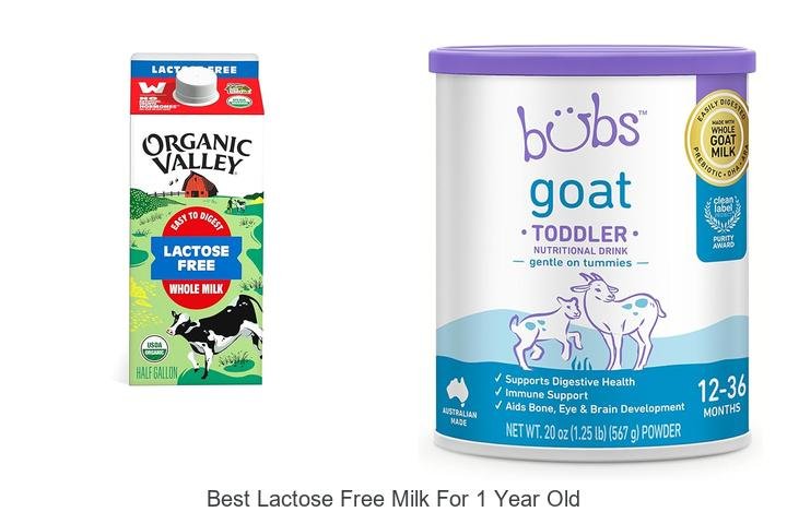 Top Lactose-Free Milk Options for Your 1-Year-Old!