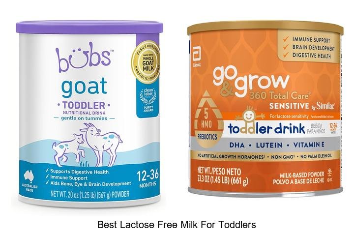 Top 5 Best Lactose-Free Milk for Toddlers Revealed!