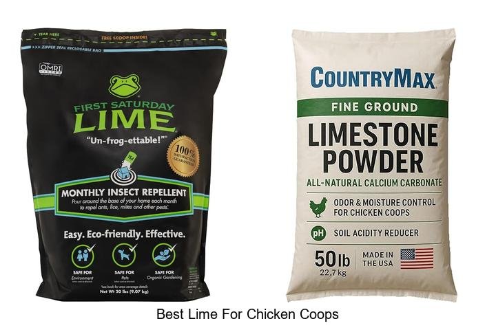 Discover the Best Lime for Healthier Chicken Coops!