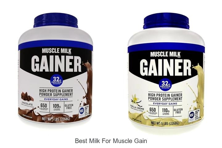 Unlock Power with Best Milk for Muscle Gain