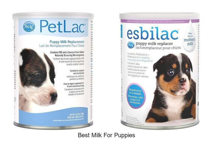 Discover the Best Milk Replacement for Puppies!