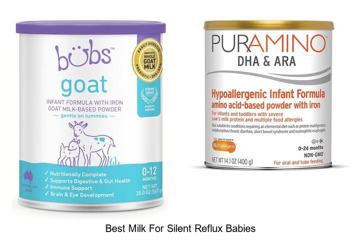 Top Milk Choices for Silent Reflux Babies Uncovered