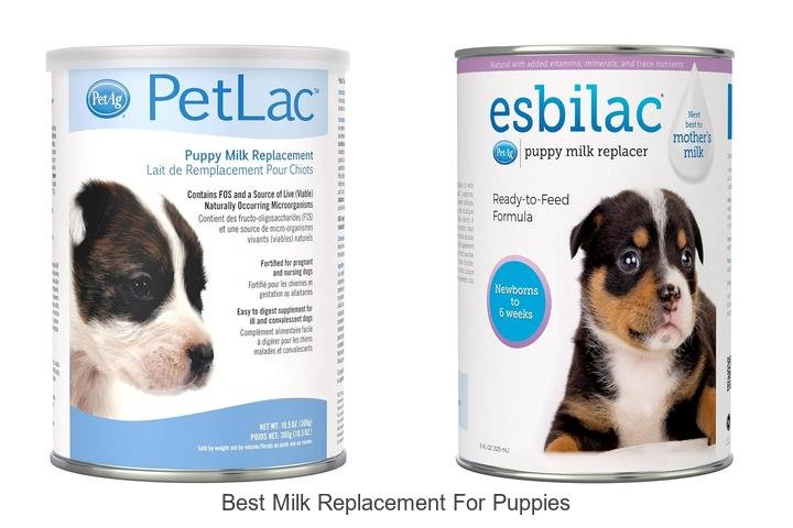 Top Milk Replacements for Puppies: Vet-Approved Picks