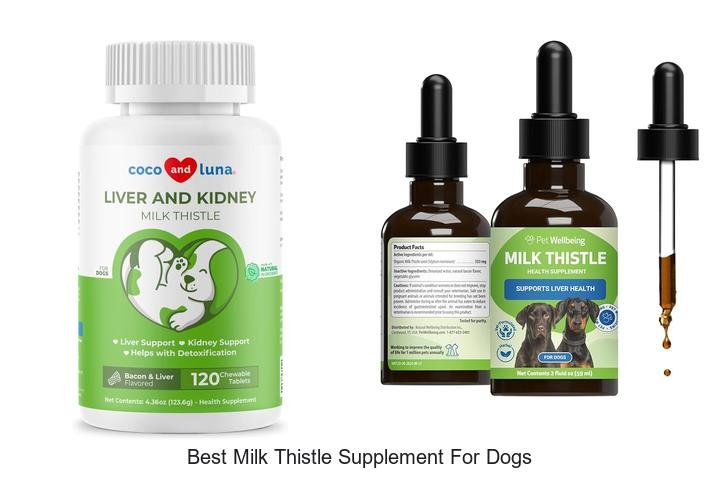 Top-Rated Milk Thistle for Dogs: Vet-Approved Choice