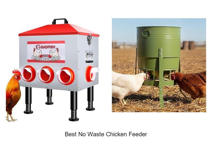 Discover the Best No Waste Chicken Feeder Today