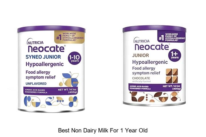 Discover the Best Non-Dairy Milk for Your Little One!