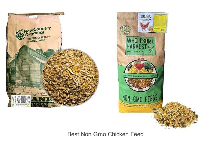 Top Non-GMO Chicken Feed for Healthy Flocks