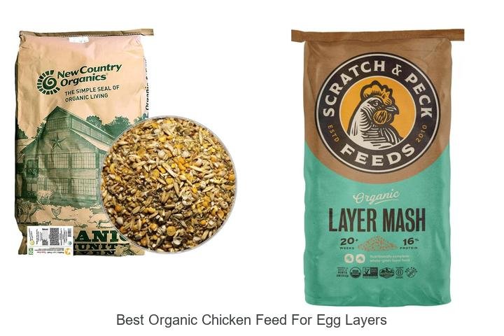 Top 5 Best Organic Chicken Feeds for More Eggs