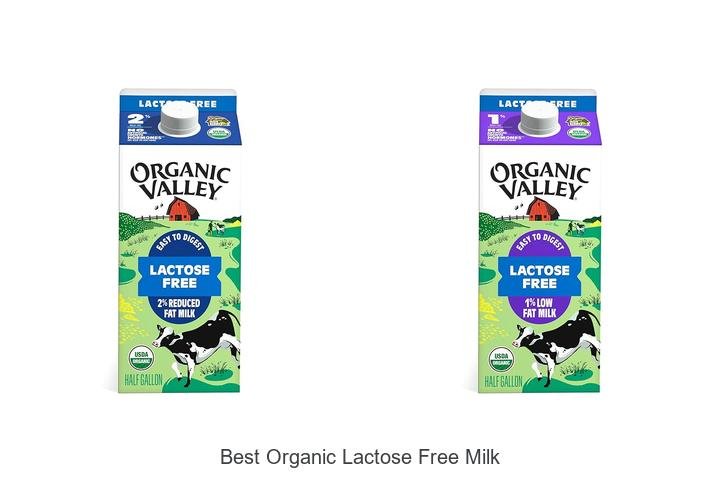 Discover the Best Organic Lactose-Free Milk Now!