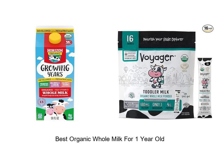 Top Organic Whole Milk Brands for Your Baby