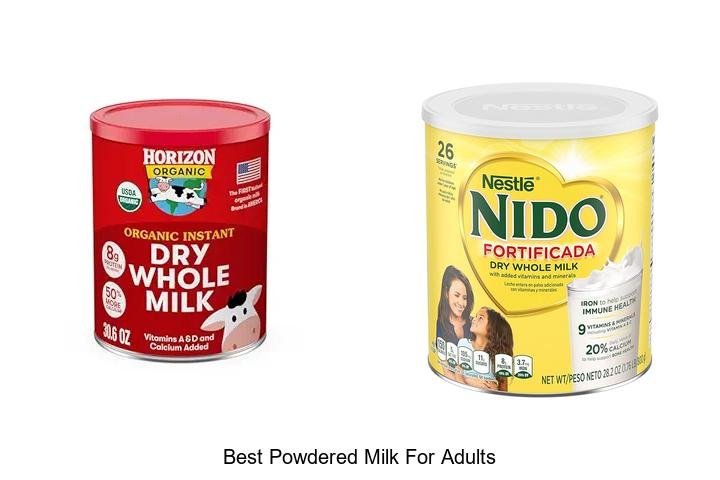 Discover the Best Powdered Milk for Adults Now!