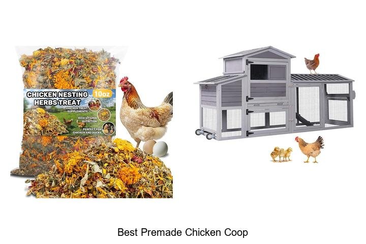 Discover the Best Premade Chicken Coop for You