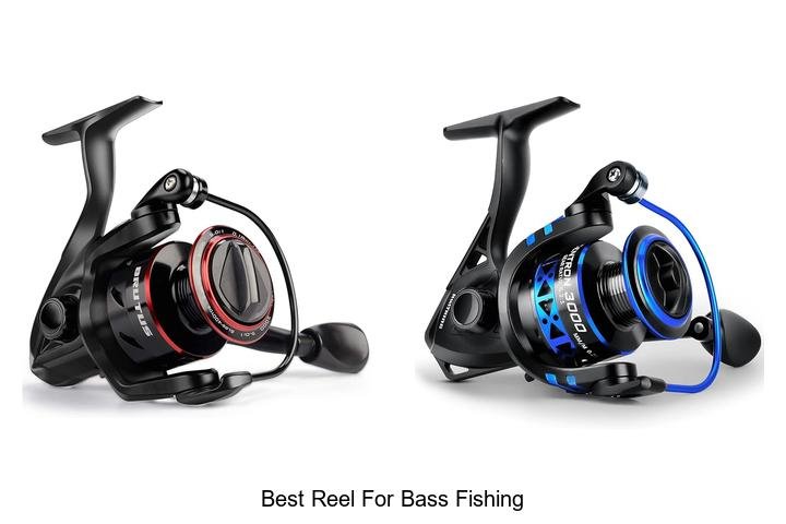 Discover the Best Reel for Bass Fishing: Catch More!