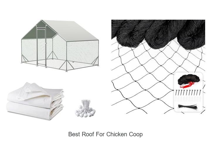 Discover the Best Roof for Chicken Coop Secrets!