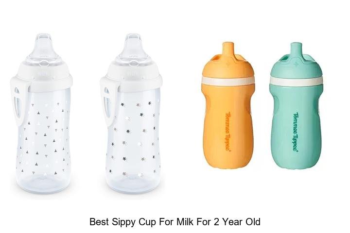 Discover the Best Sippy Cup for Milk – Toddler Favorite!