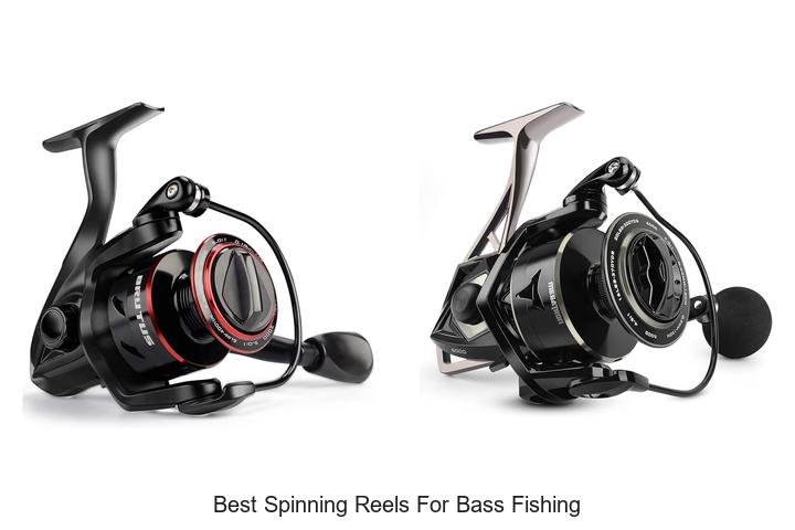 Top 7 Best Spinning Reels for Bass Fishing!