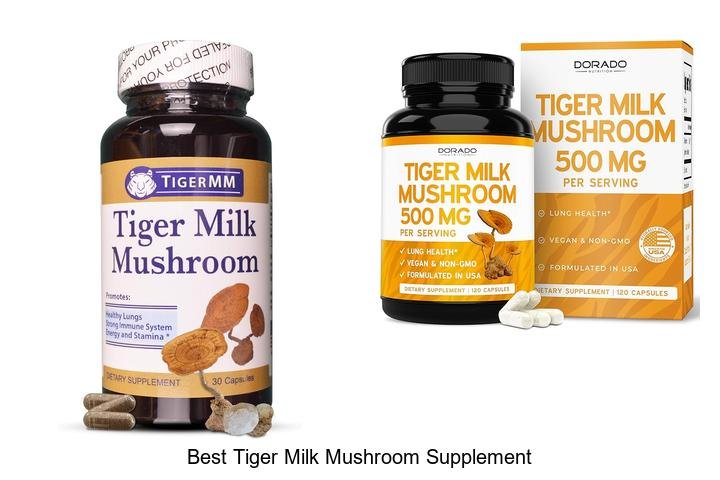 Discover the Best Tiger Milk Mushroom Supplement