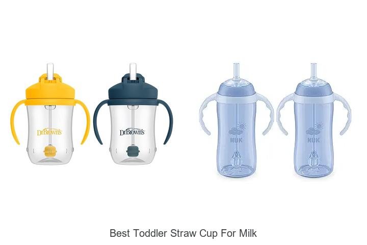 Top Pick: Best Toddler Straw Cup for Milk
