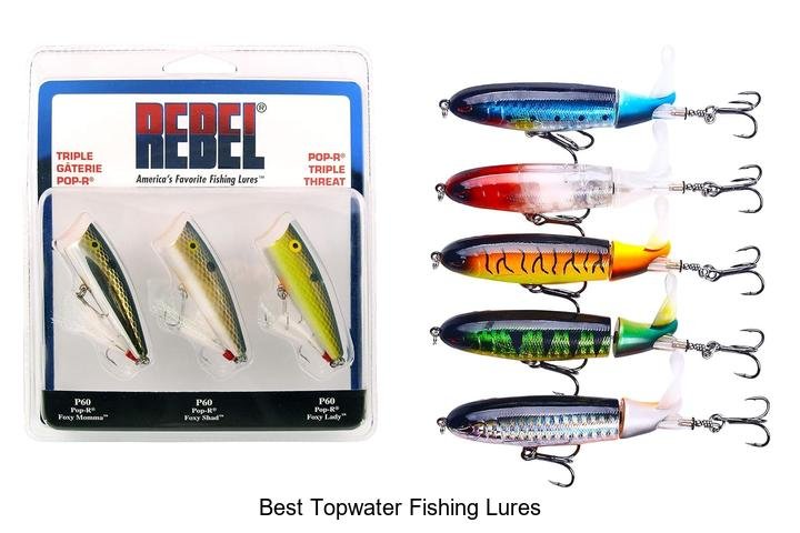 Top 7 Best Topwater Fishing Lures That Catch Fish Fast
