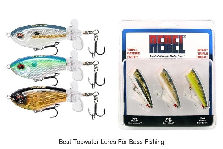 Top 5 Topwater Lures Bass Can’t Resist