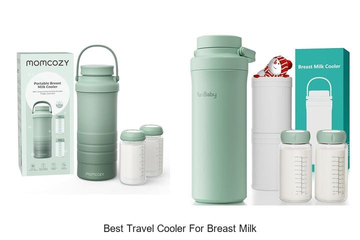 Ultimate Guide: Best Travel Cooler for Breast Milk