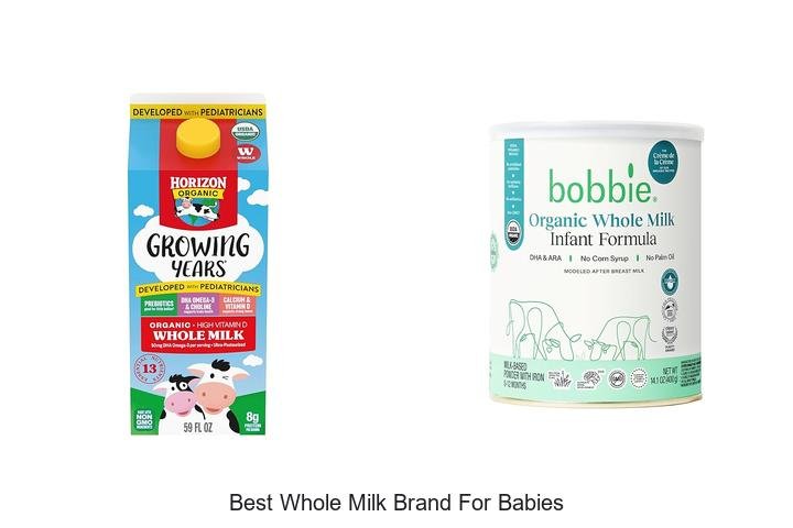 Top Picks: Best Whole Milk Brand for Babies!