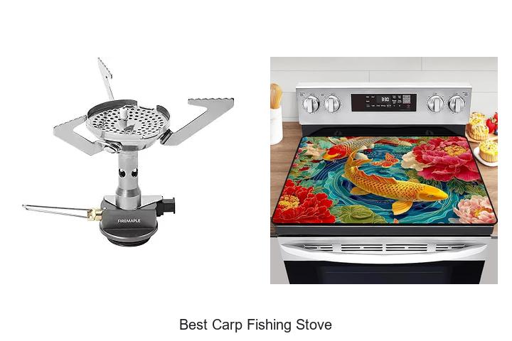 Best Carp Fishing Stove That Will Change Your Game Forever