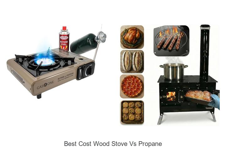 Best Cost Wood Stove Vs Propane: Which Saves You More?